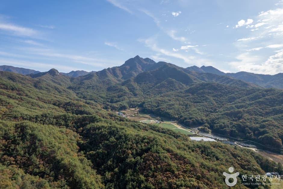 대야산