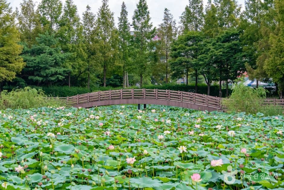 봉담호수공원
