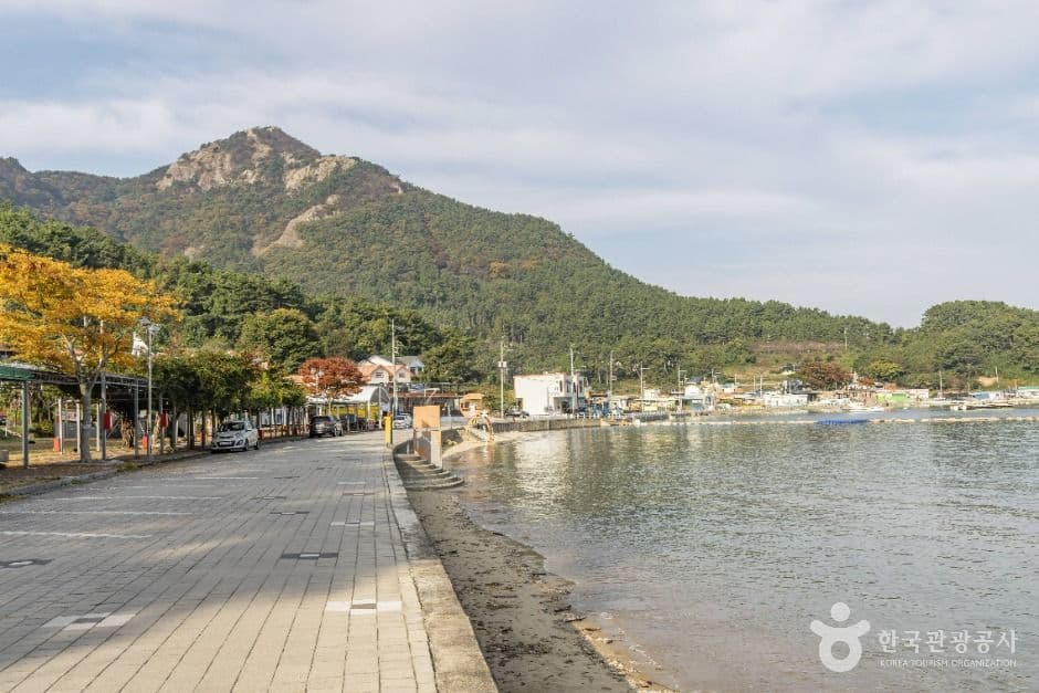 대항해수욕장