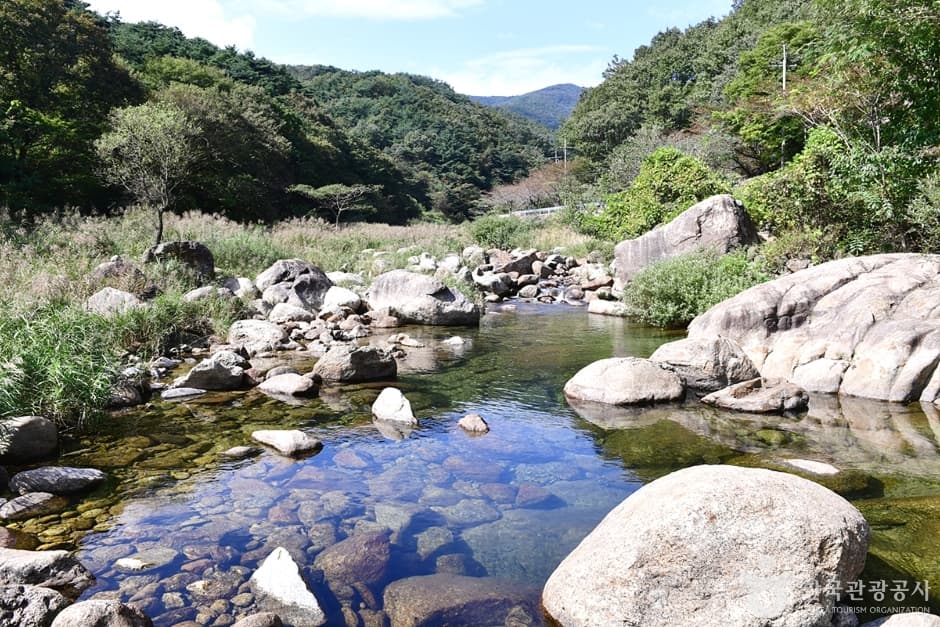 백운산 동곡계곡