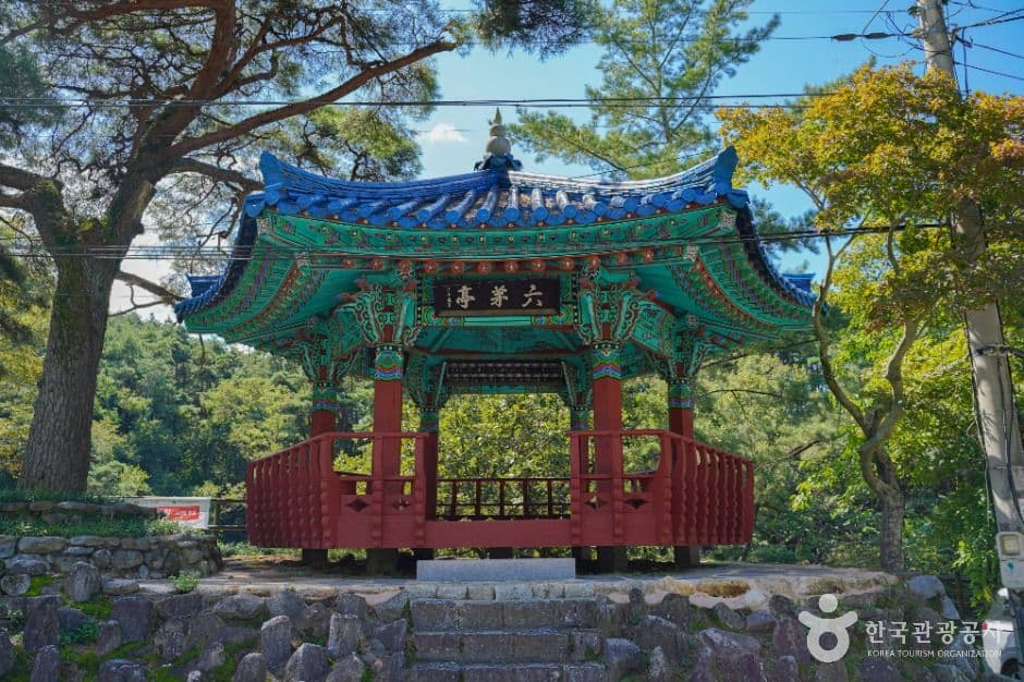 육모정