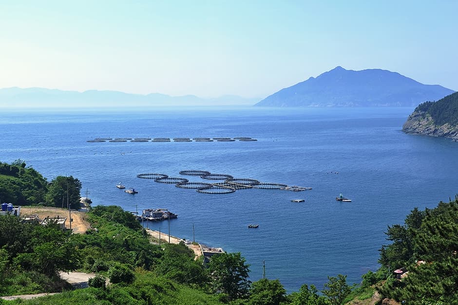 도동해변