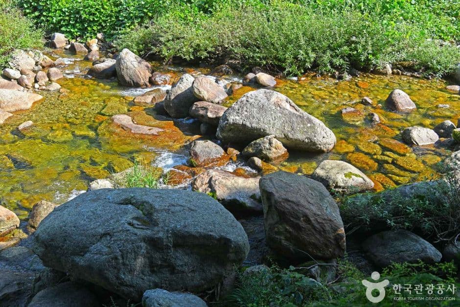 새밭계곡
