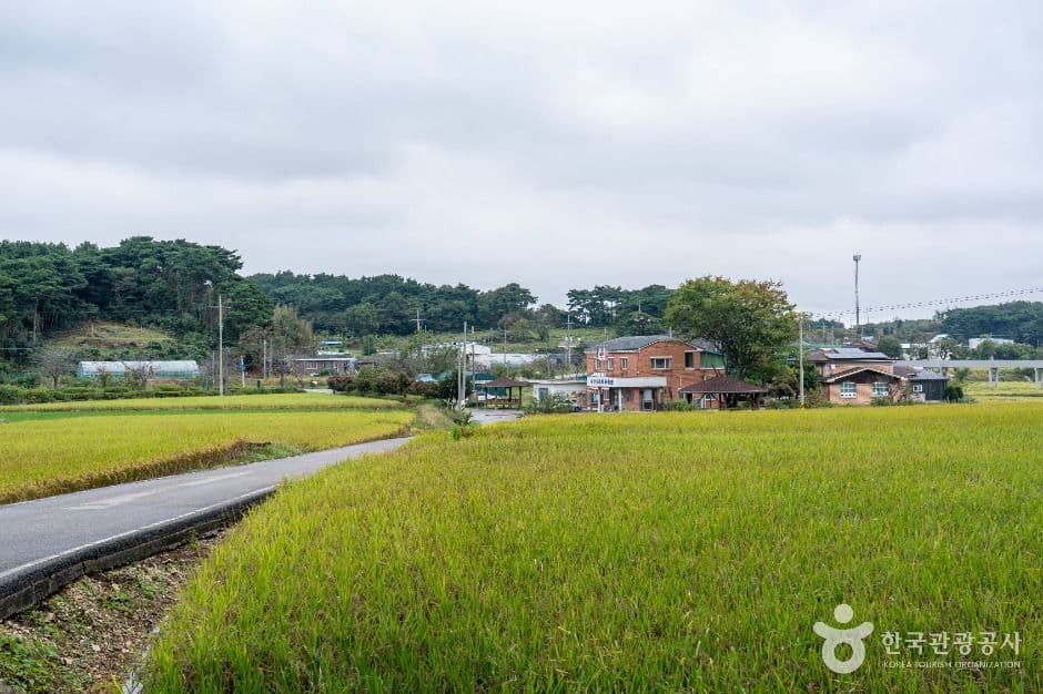 서산 회포마을