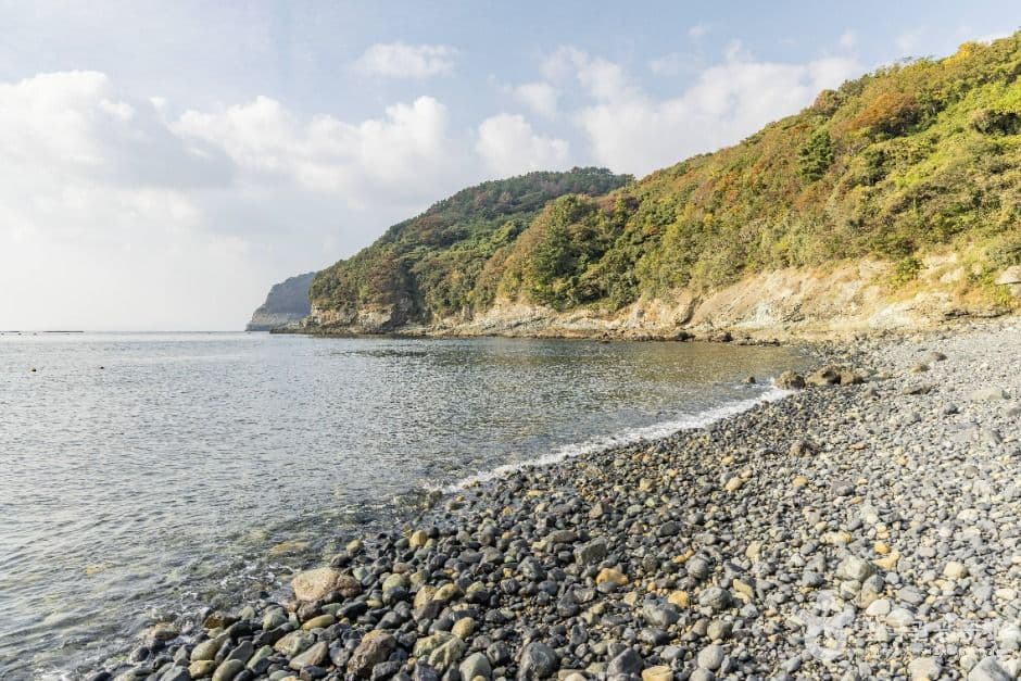 유동해수욕장