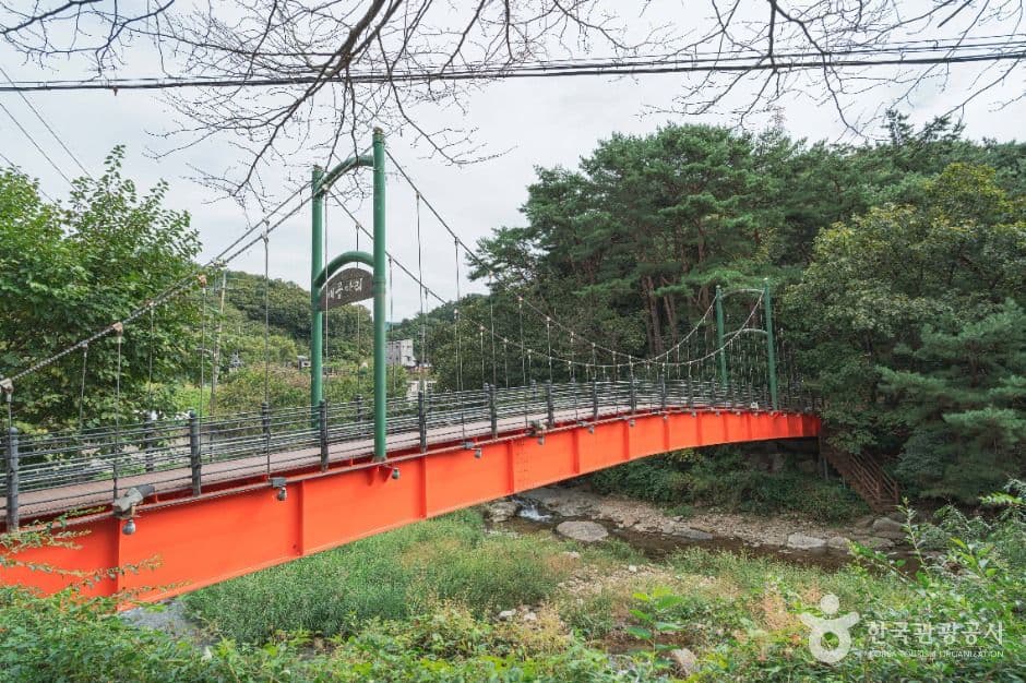 배꼽다리