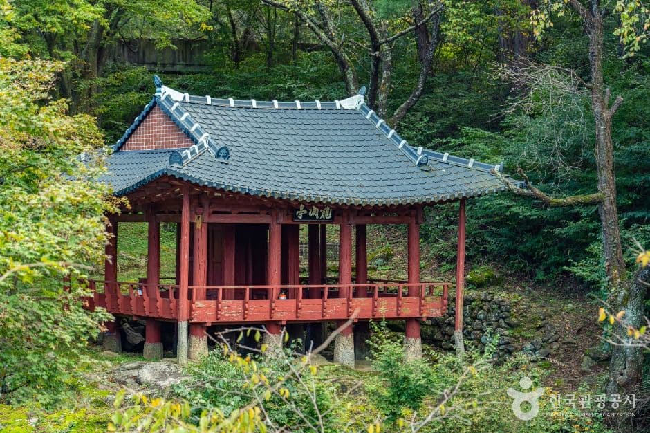 용연정