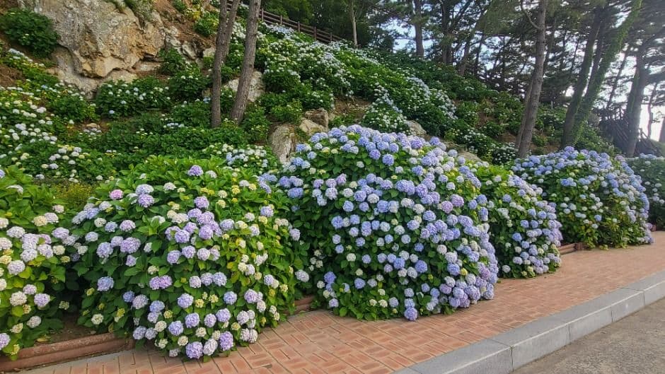 저구마을