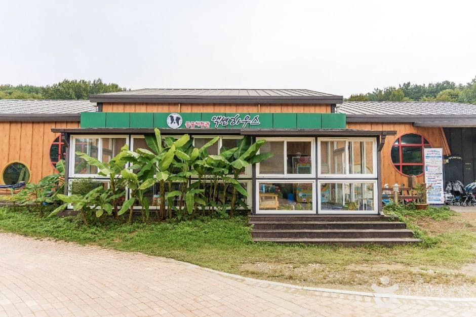 익산 액션하우스