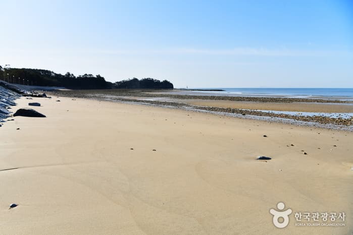백사장해수욕장