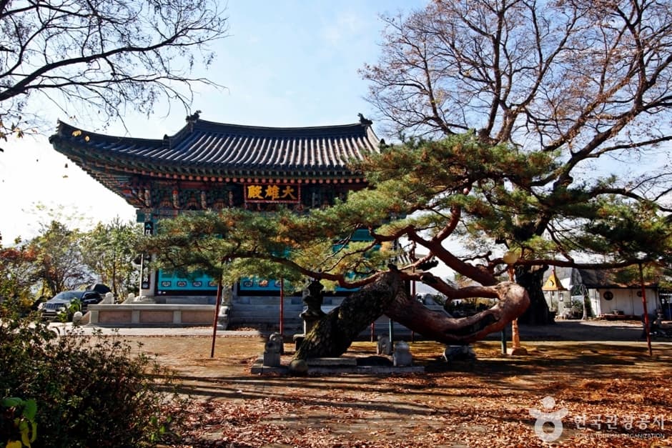 충주 단호사 삼층석탑