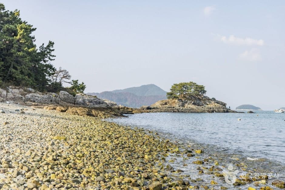 흰작살해변