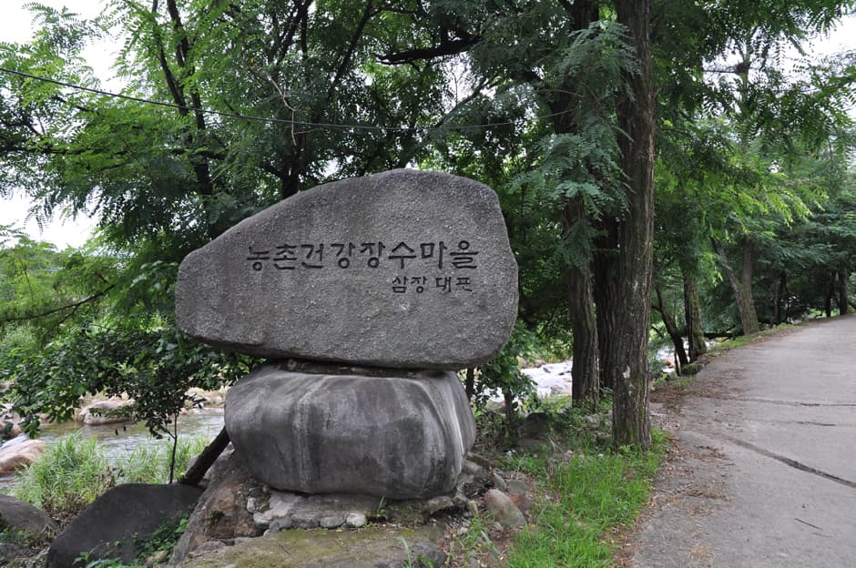 대포숲