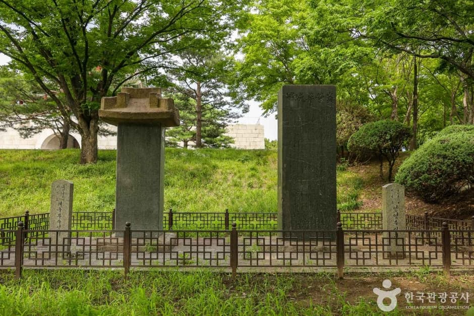 대구부수성비