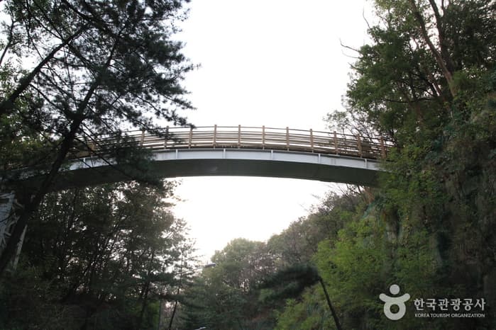 [북악하늘길 3산책로] 북카페~숲속다리