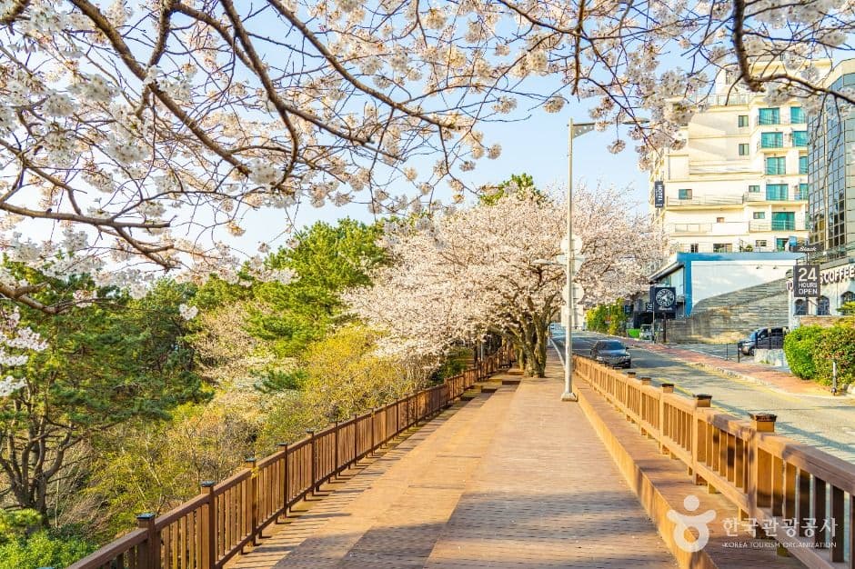 문탠로드