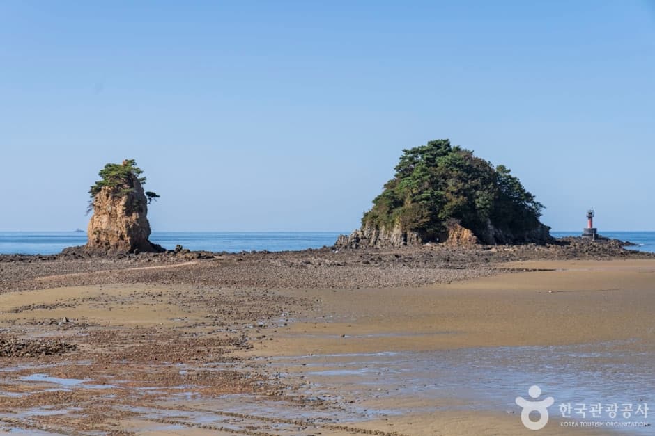 꽃지해안공원