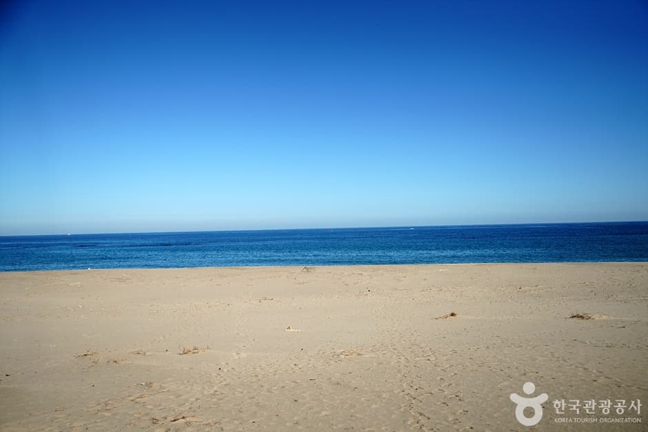 하맹방해변
