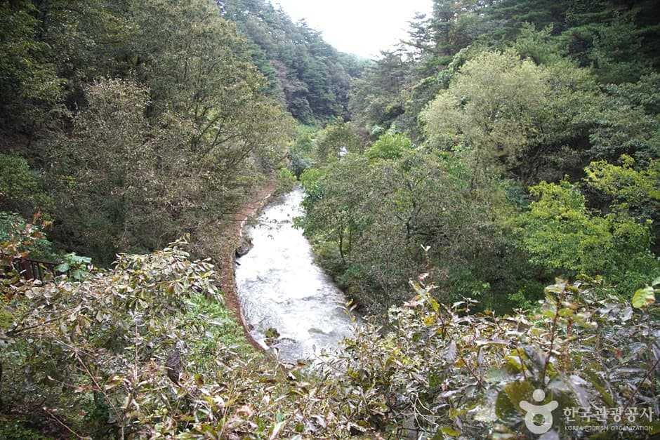 삼척 초당굴