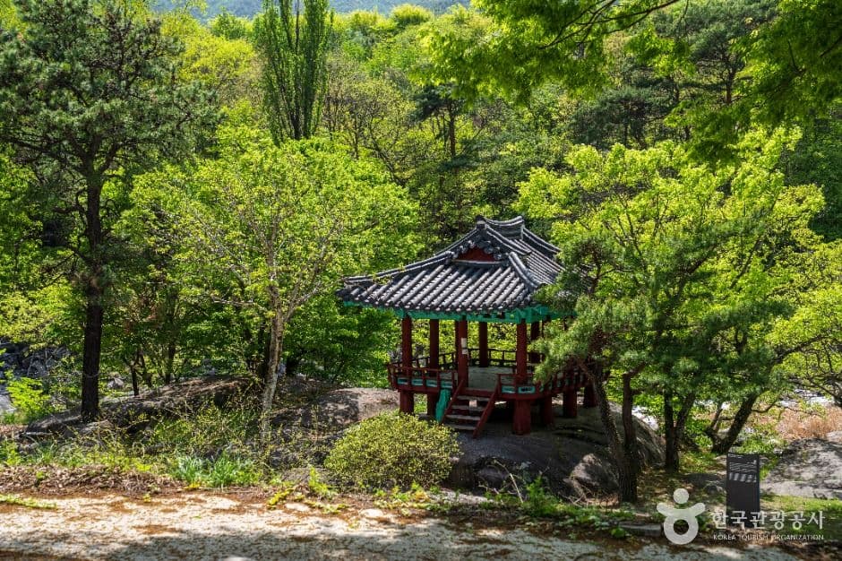 함양 군자정