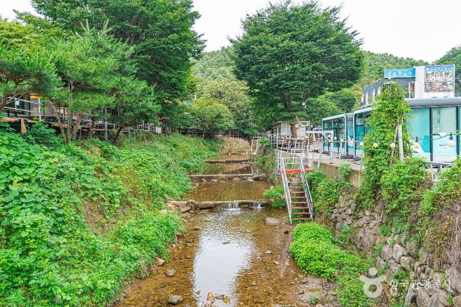 장흥유원지