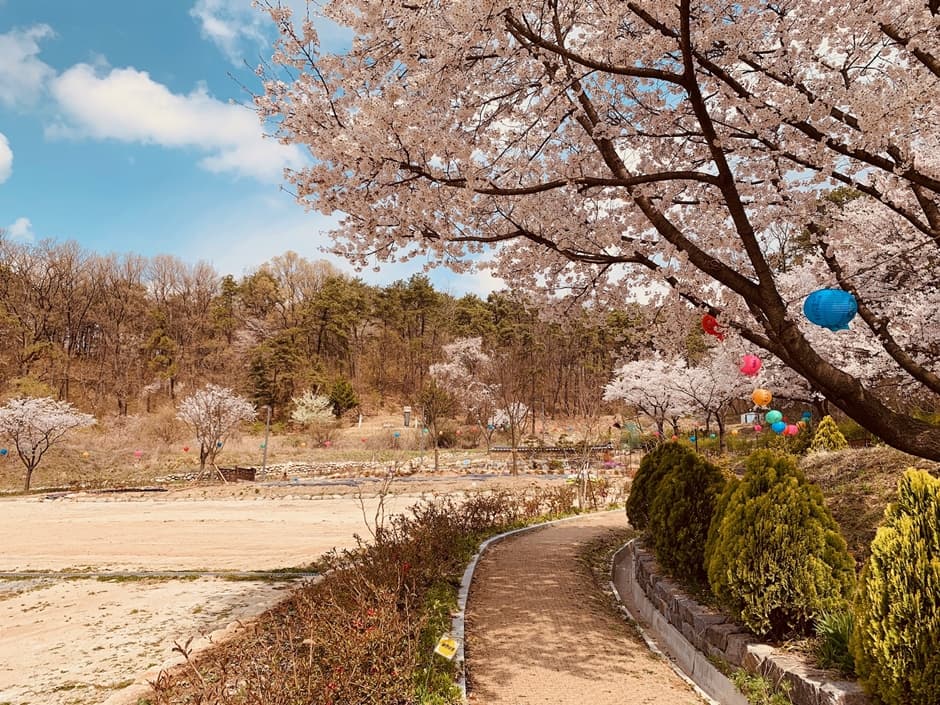 보현선원