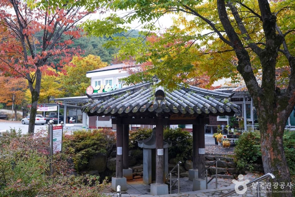 다덕약수탕