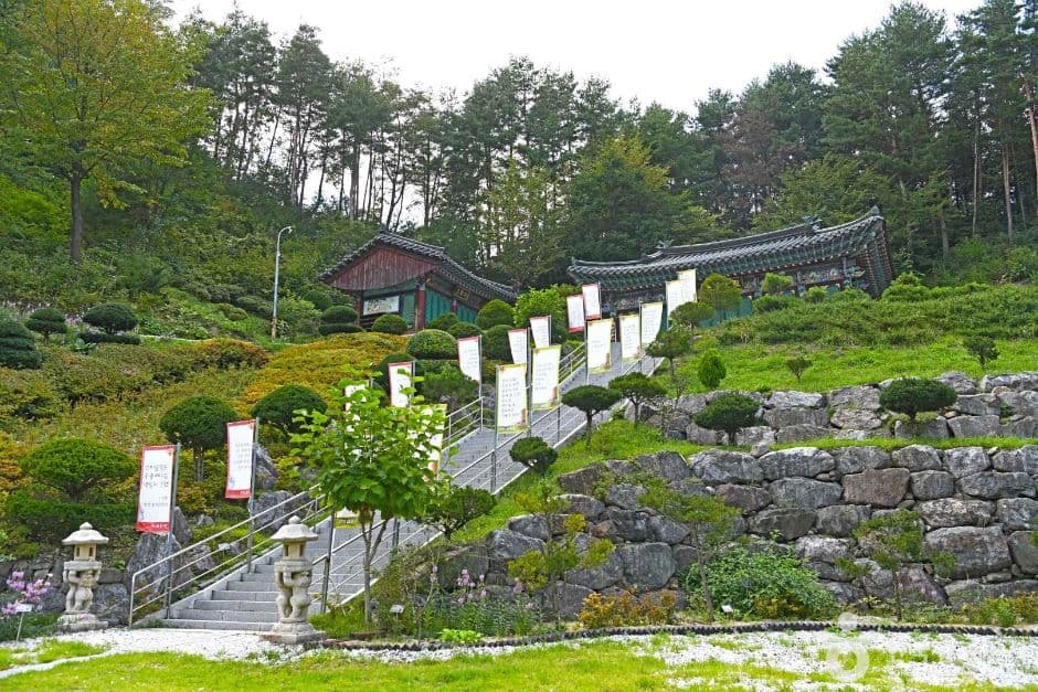 심원사(태백)