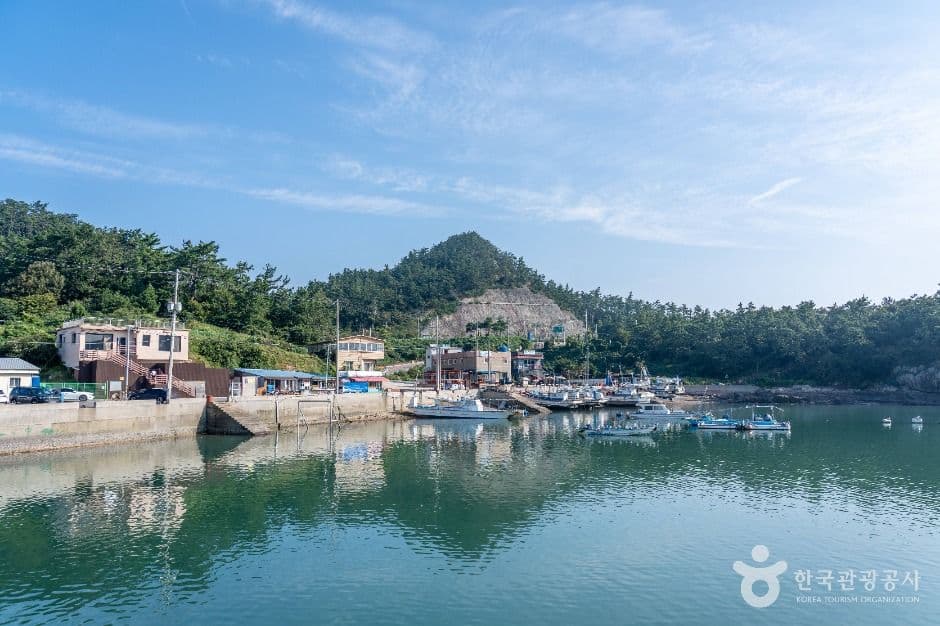 선유1구항