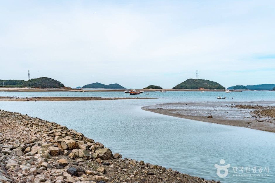 도비도항