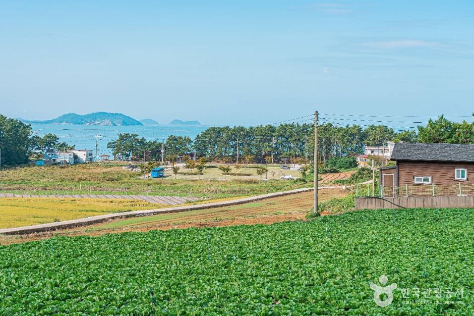 땅끝송호마을