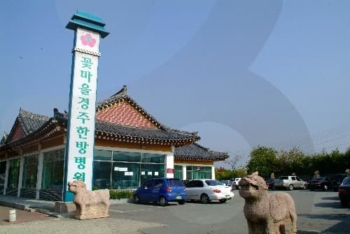 꽃마을 경주한방병원