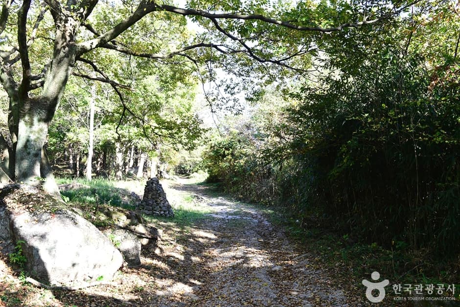 고산