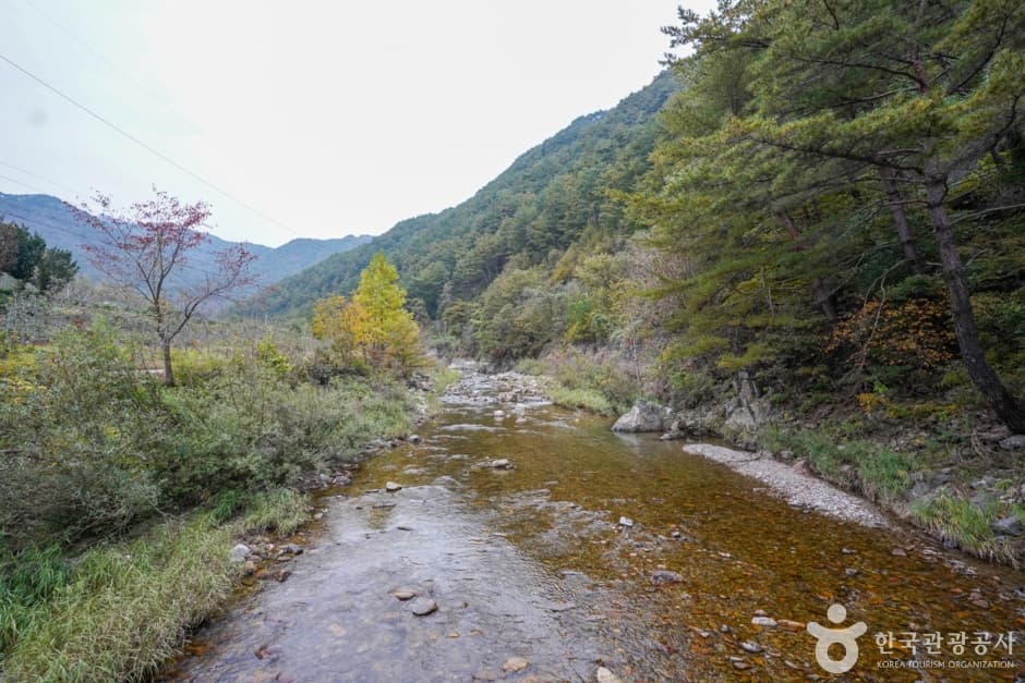 고선계곡(구마계곡)