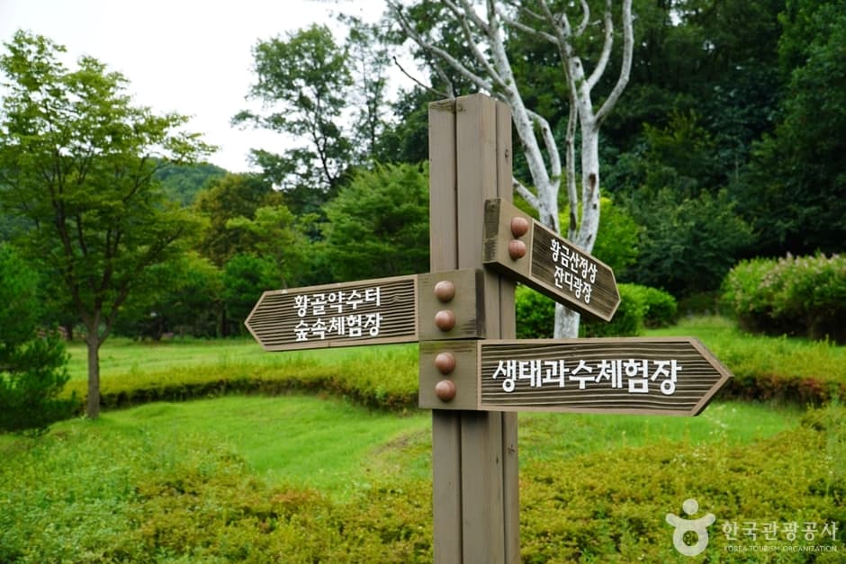 황금산문화공원