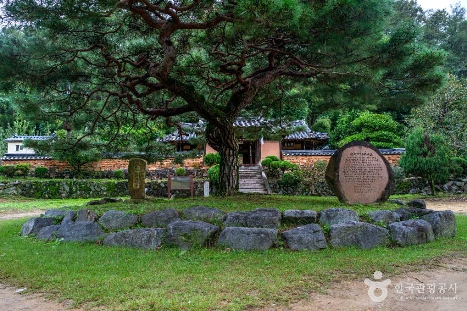 [대구올레 팔공산 4코스] 평광동 왕건길