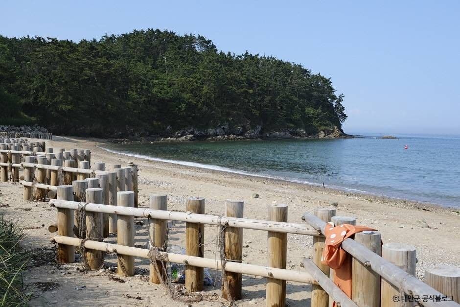 의항해수욕장