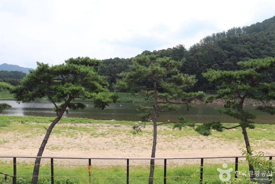 목도강변유원지