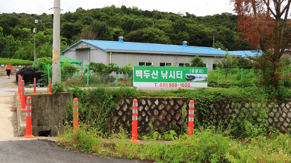 백두산낚시터