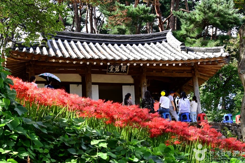 환벽당