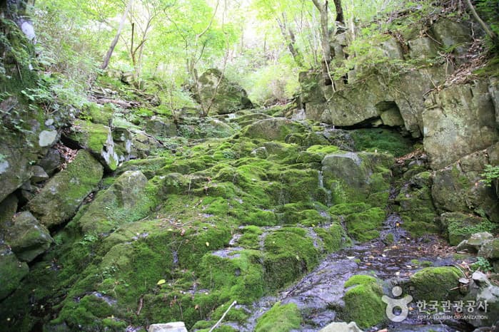 운장산