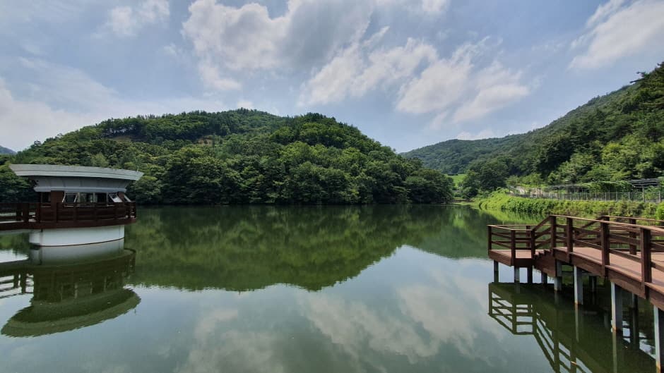 금학생태공원