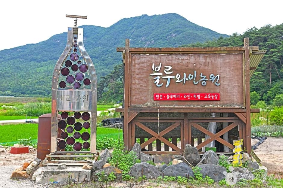영동블루와인농원