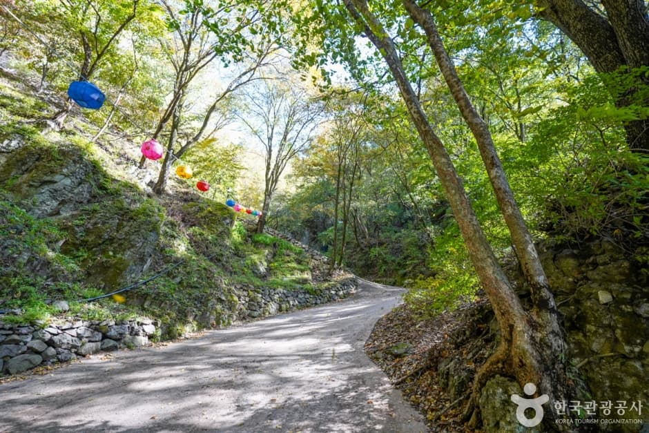 청량산 트레킹