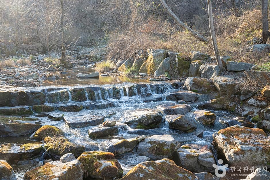 유명산계곡