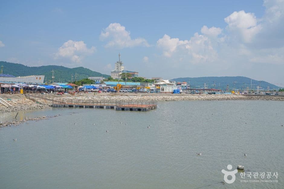 설도항