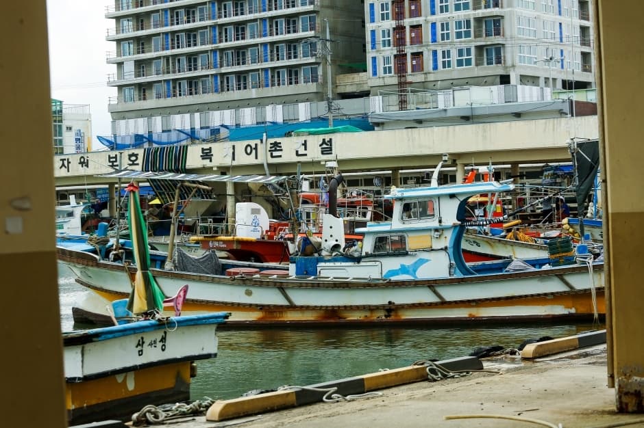 사천진항