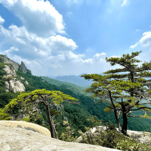 용화산 (강원평화지역 국가지질공원)