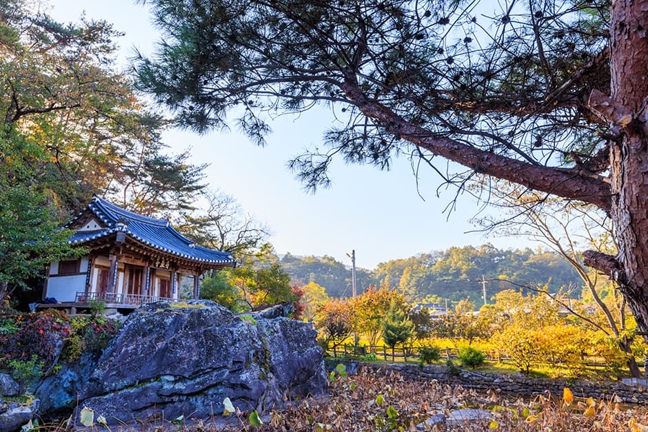 주암정