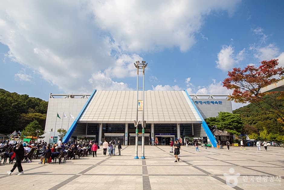 광명시민체육관